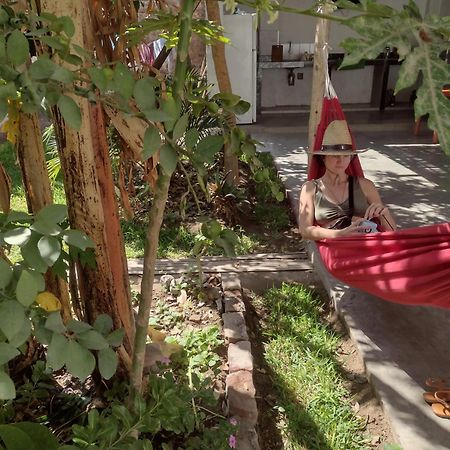 Flying Monkey Hostel Nazca Luaran gambar