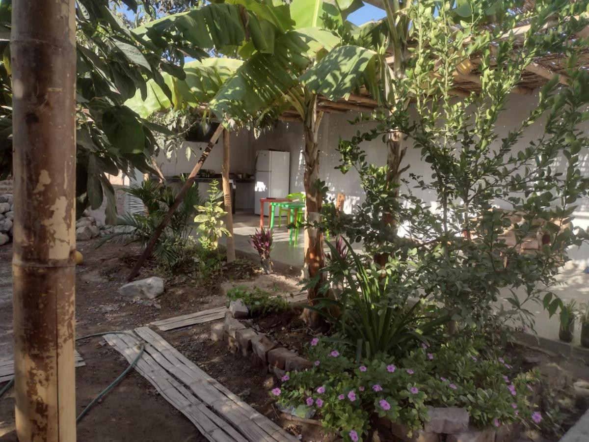 Flying Monkey Hostel Nazca Luaran gambar