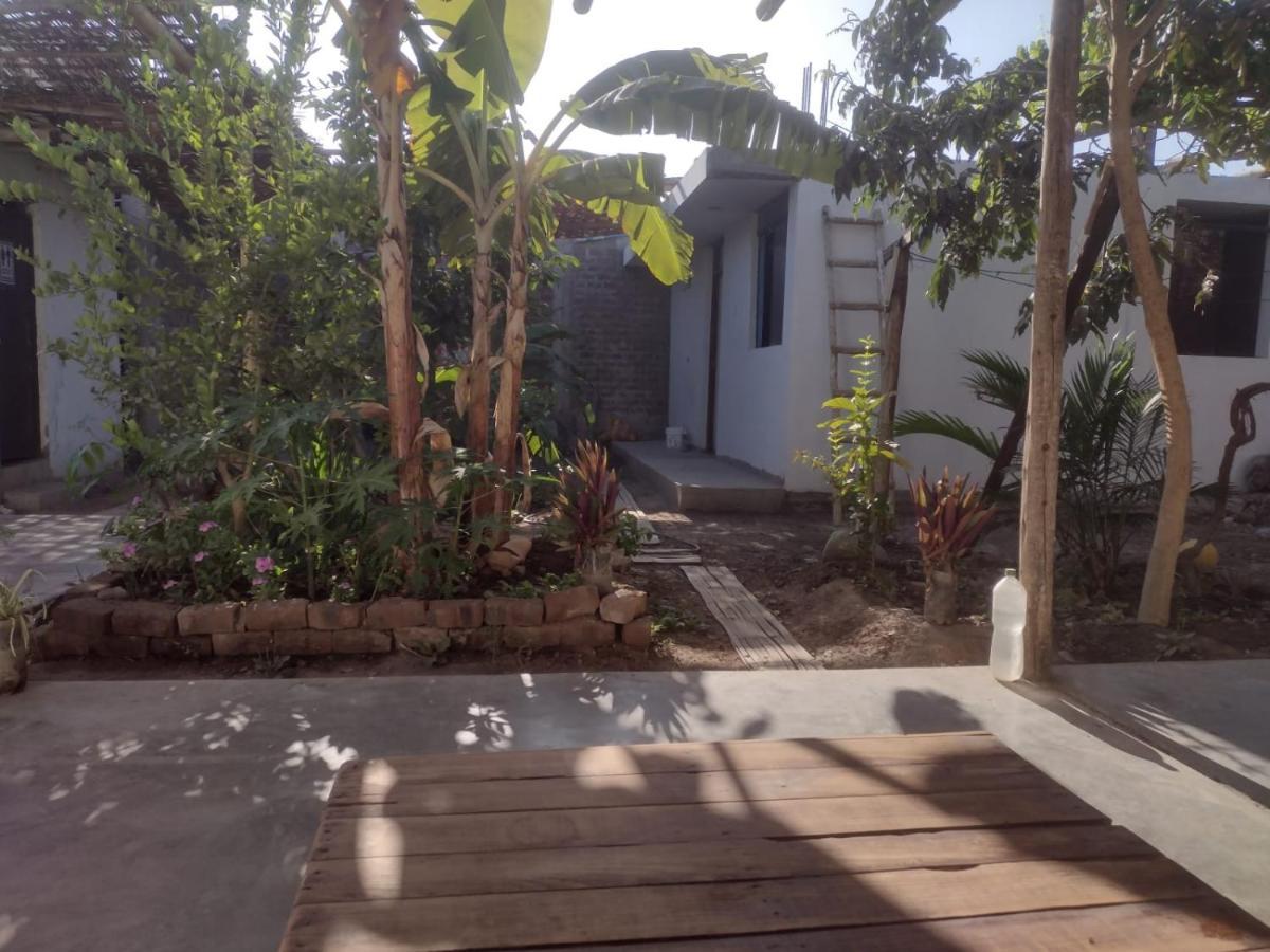 Flying Monkey Hostel Nazca Luaran gambar